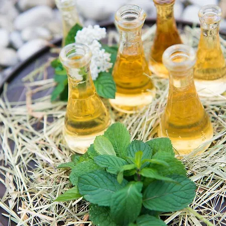 Biohotel Walser Stuba