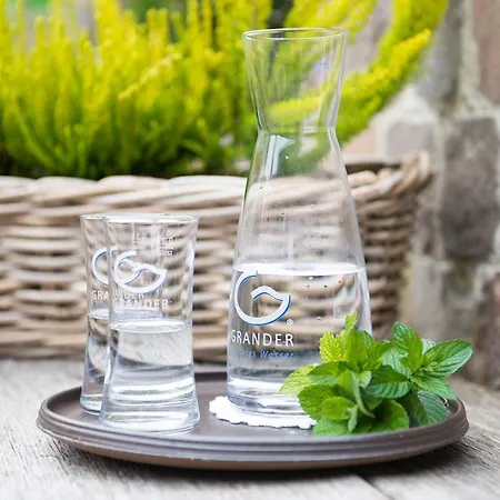 Biohotel Walserstuba 3* ريزلرن