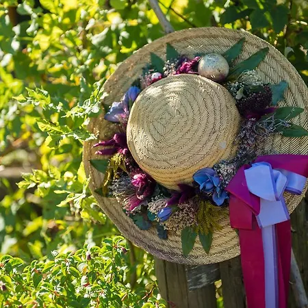 Biohotel Walser Stuba Hotel Riezlern