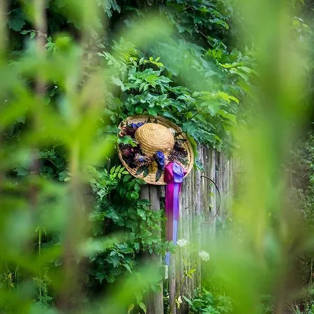 Biohotel Walser Stuba Hotel