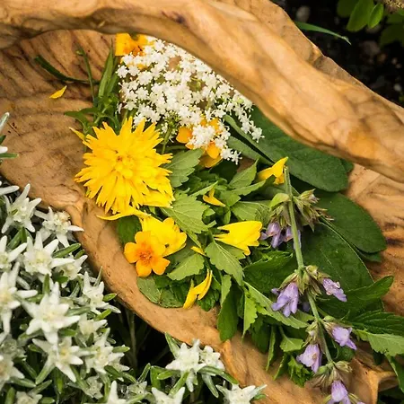 Biohotel Walser Stuba Hotel