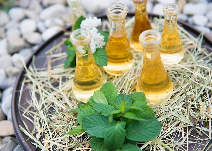 Biohotel Walserstuba