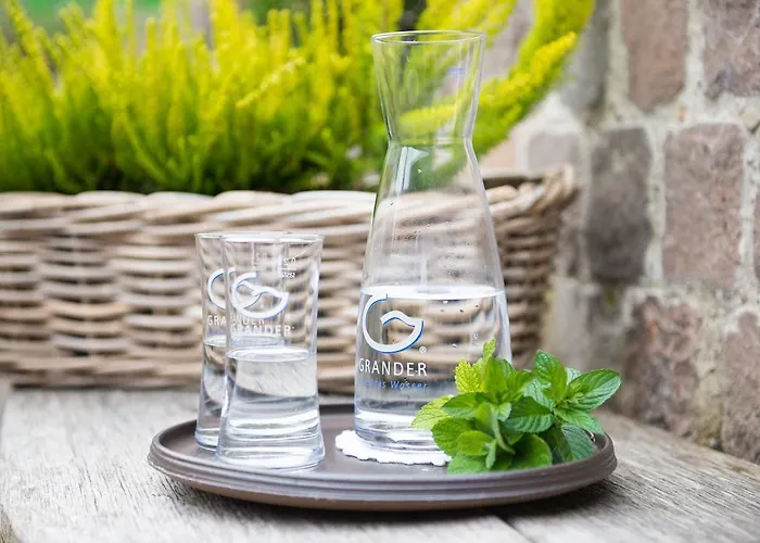 Biohotel Walserstuba 3* Riezlern